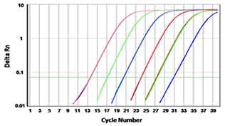 AmpCurve1