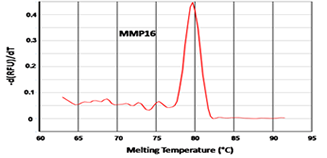 Accugen MMP16 Melting Curve 