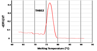 Accugen THBS2 Melting Curve